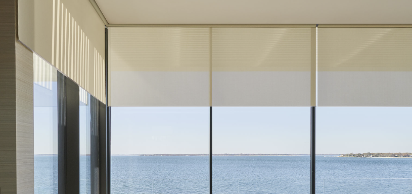 Lutron Wireless Palladiom Blinds